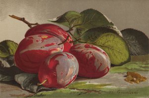 Erik by English School